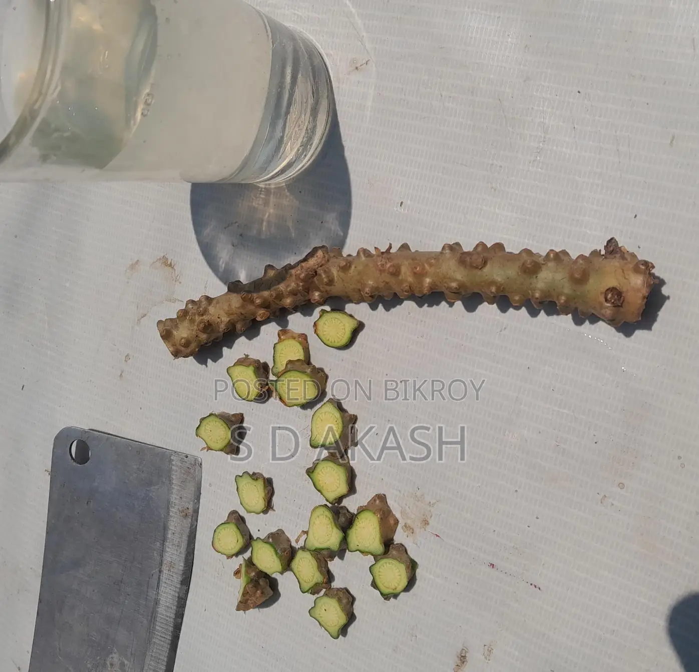 ডায়বেটিস লতা, পদ্মগুলঞ্চ,বৈজ্ঞানিক নাম: Tinospora Cordifolia