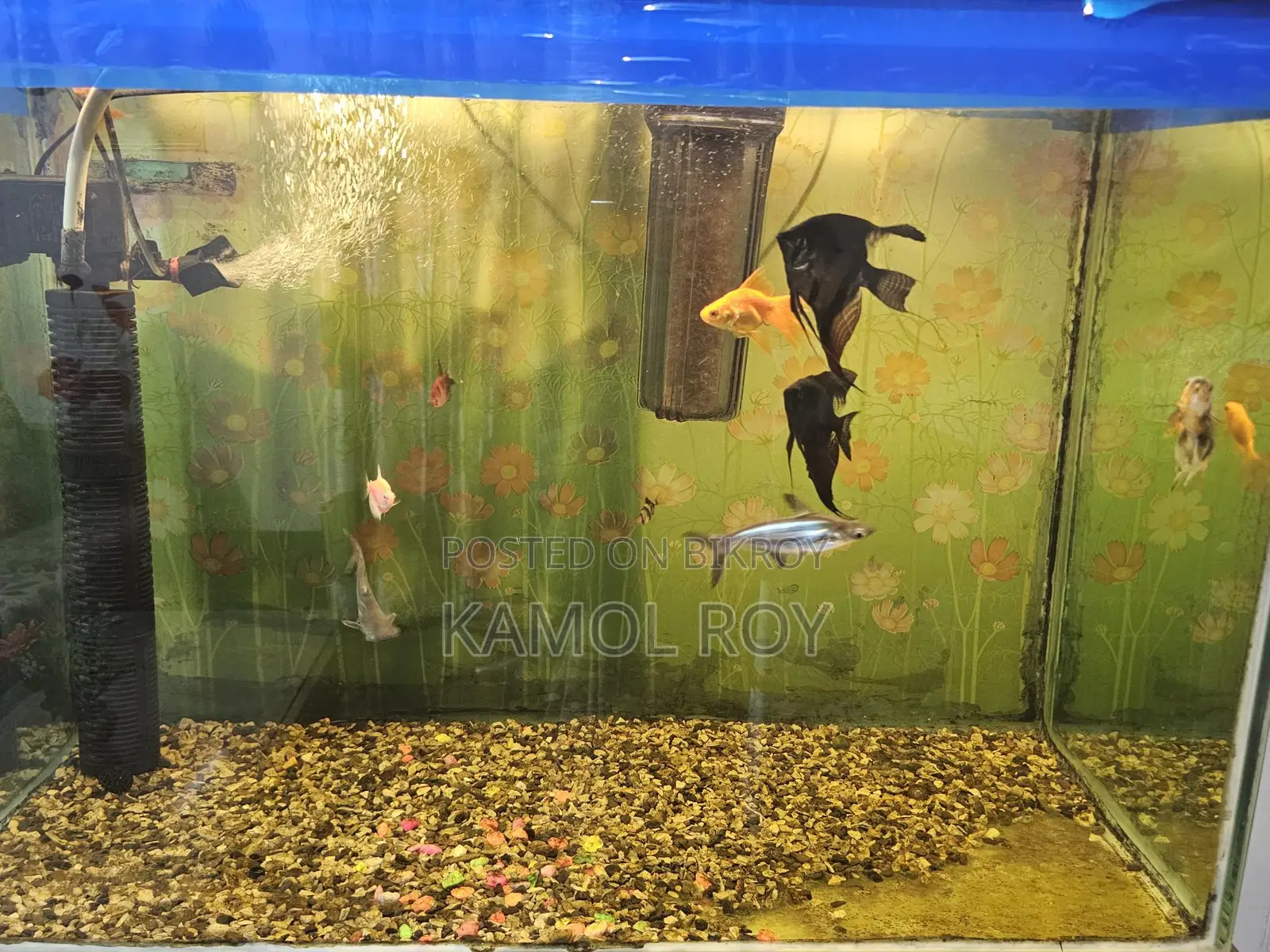 Aquarium