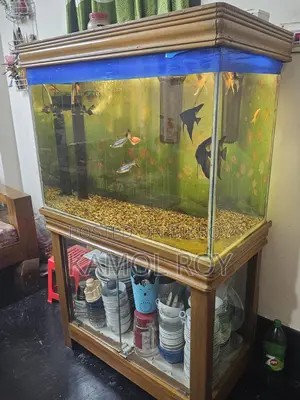 Aquarium