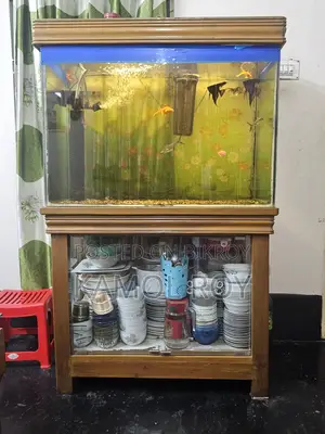 Aquarium