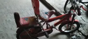 Nemo Baby Bicycle Age 3-7
