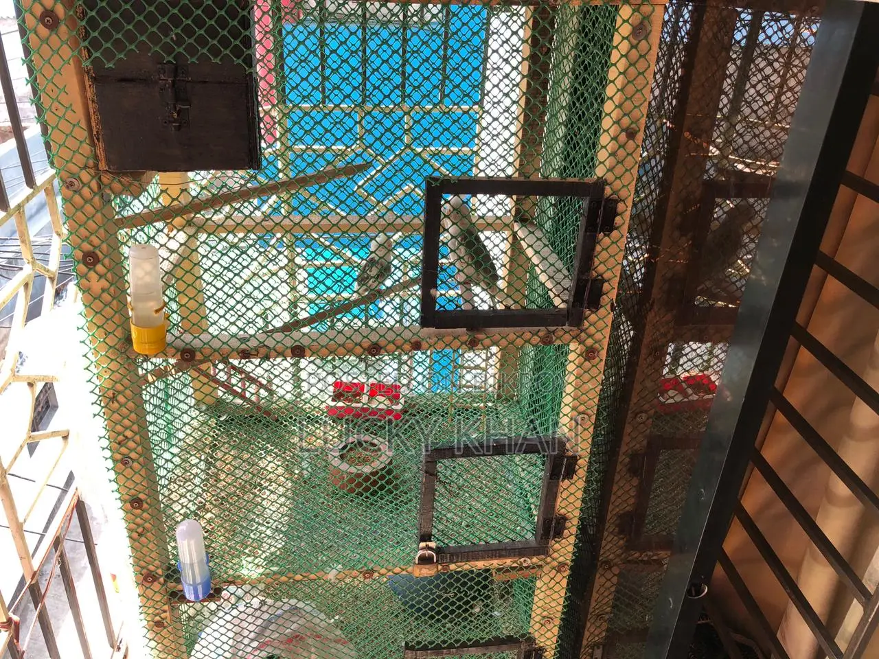 Handmade wood and mesh cage