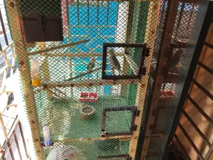 Handmade wood and mesh cage