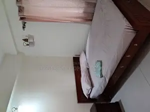 Excellent Full Furnished Apartment For Rent In Baridhara