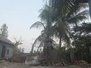 Ten and a half decimals of land for sale