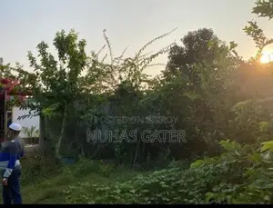 নির্ভেজাল ব্যক্তিমালিকানাধীন ৮ শতাংশ জমি বিক্রয়
