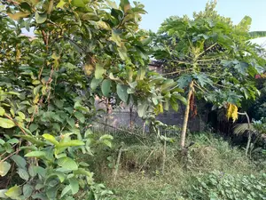 8 Katha Private Land for Sale