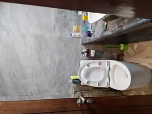 Full Furnished Apartment For Rent In Banani