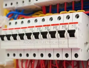 I provide home service for electrical and plumbing work,