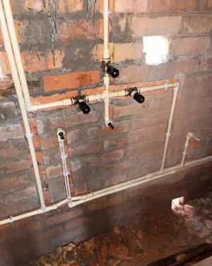 I provide home service for electrical and plumbing work,