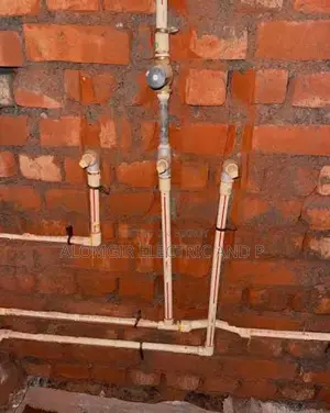 I provide home service for electrical and plumbing work,