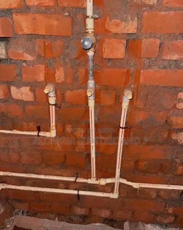 I provide home service for electrical and plumbing work,