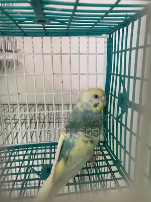 Single Female and Baby