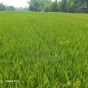Land for Sale in Salna, Gazipur