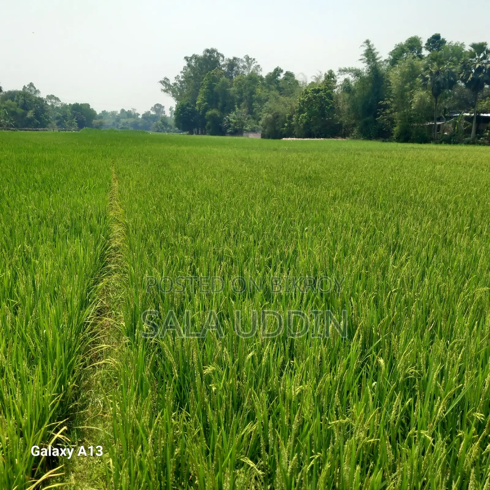 Land for Sale in Salna, Gazipur