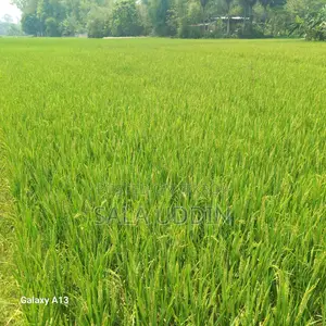 Land for Sale in Salna, Gazipur