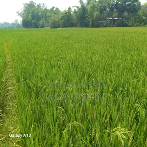 Land for Sale in Salna, Gazipur