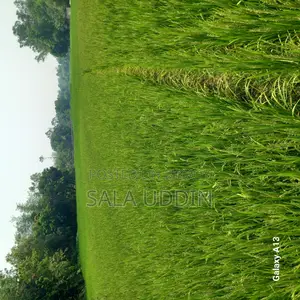 Land for Sale in Salna, Gazipur