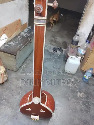 জেন্স তানপুরা (Gents Tanpura)