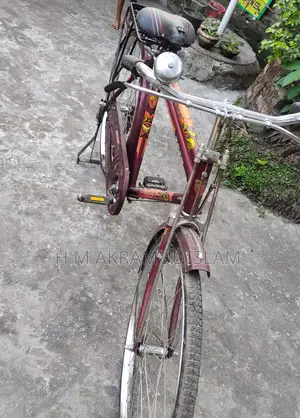 Duranta Bicycle for sale