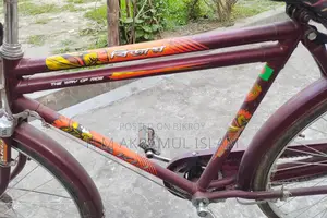 Duranta Bicycle for sale