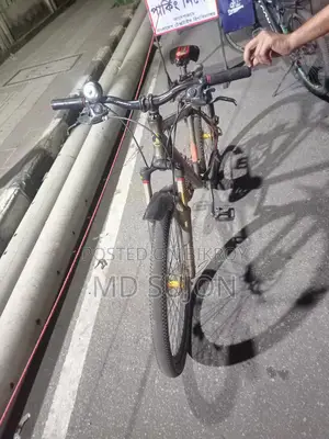Phoenix Bicycle for sale