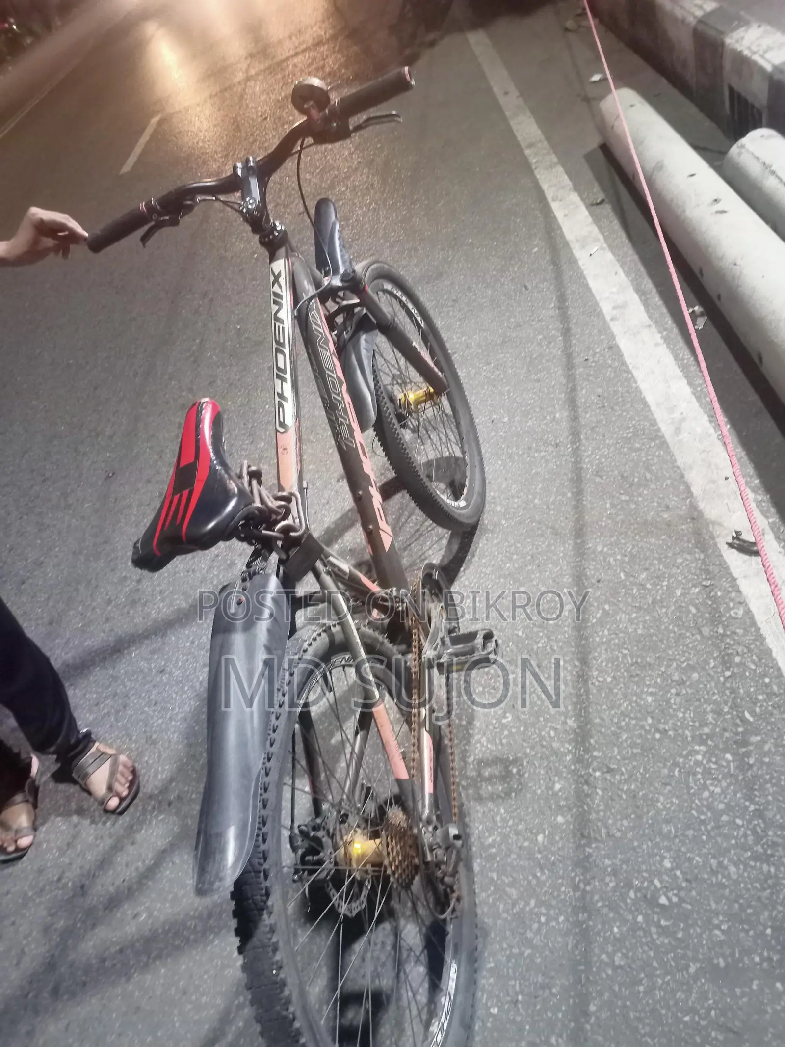 Phoenix Bicycle for sale