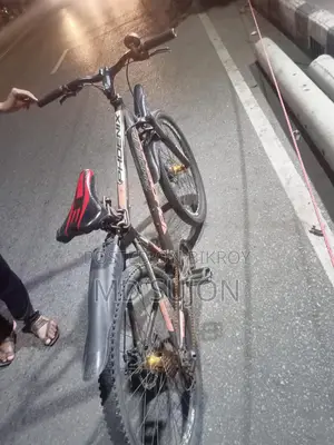 Phoenix Bicycle for sale