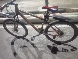 Phoenix Bicycle for sale