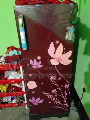 ফ্রিজে কোনো সমস্যা নেই।