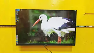 SINGER-43" Inche Smart Dolby Sound Vista TV