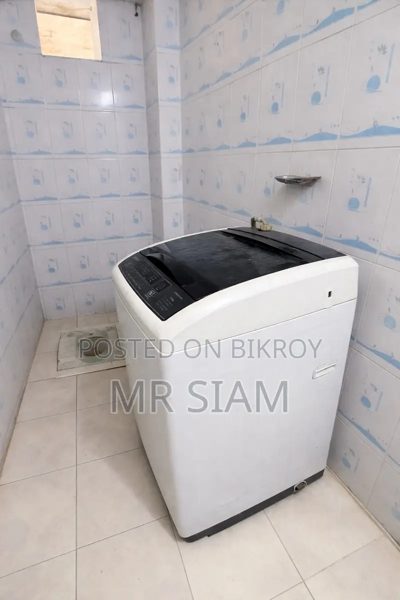 Washing Machine Singer
