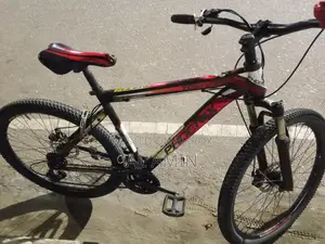Duranta Bicycle for sale