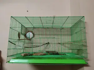 Bird Cage Chinese