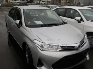Toyota Axio Ex Non Hybrid Silver 2020