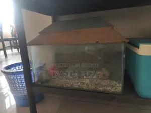 Fish Tank (Big and Small)