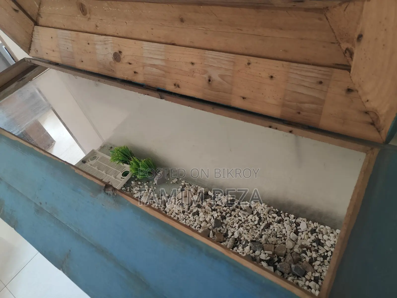 Fish Tank (Big and Small)