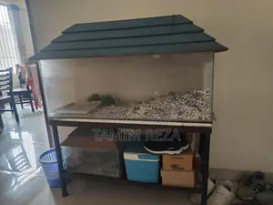 Fish Tank (Big and Small)