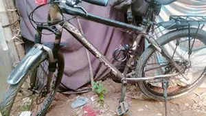 ফিনিক্স সাইকেল জরুরি বিক্রি