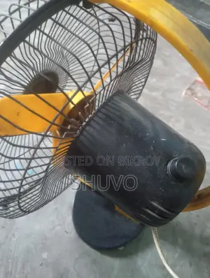 Fan