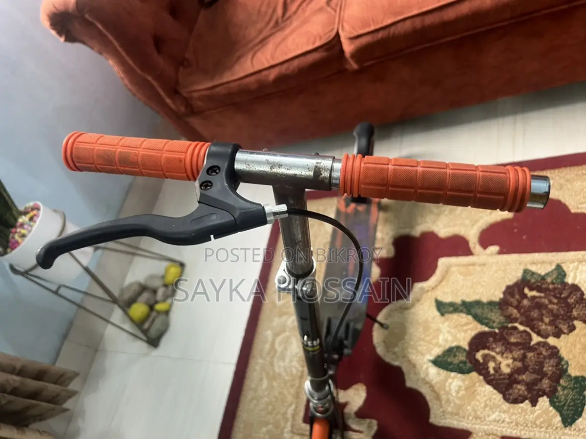 Scotty For Sale
