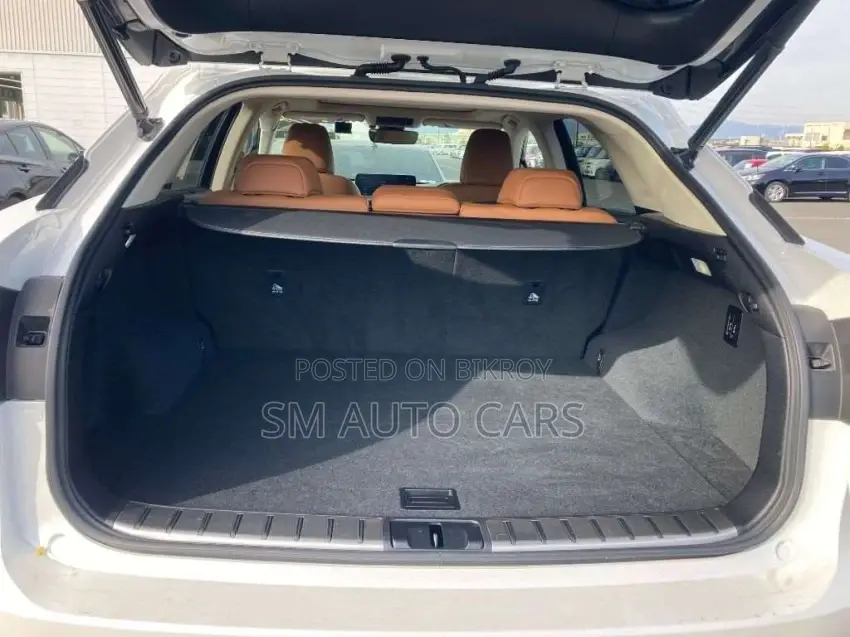 Lexus RX 2022 Pearl