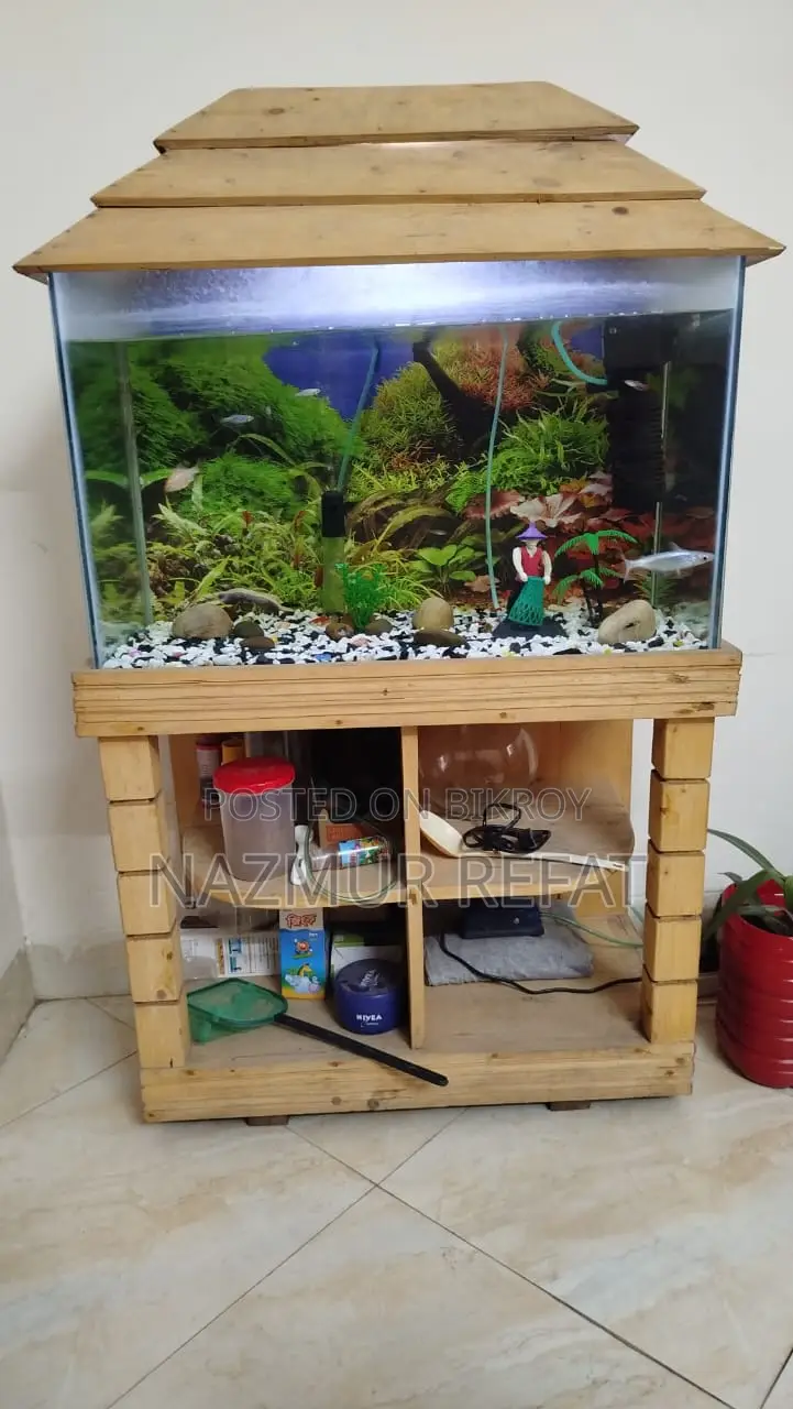 Fish Tank