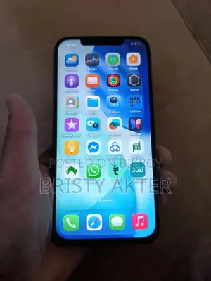 Apple iPhone 12 Pro Max (Used)