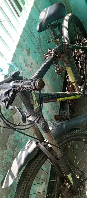 The Cycle Will Be Sold. Aluminum Body, 27"...all Ok