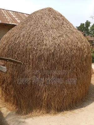 খড় বিক্রি হবে