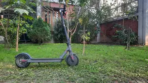 স্মার্ট Electric Kick Scooter