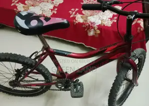 বাইসাইকেল বিক্রি হবে