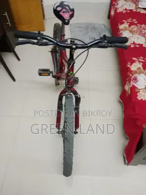 বাইসাইকেল বিক্রি হবে