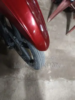 Runner Skooty . 2019